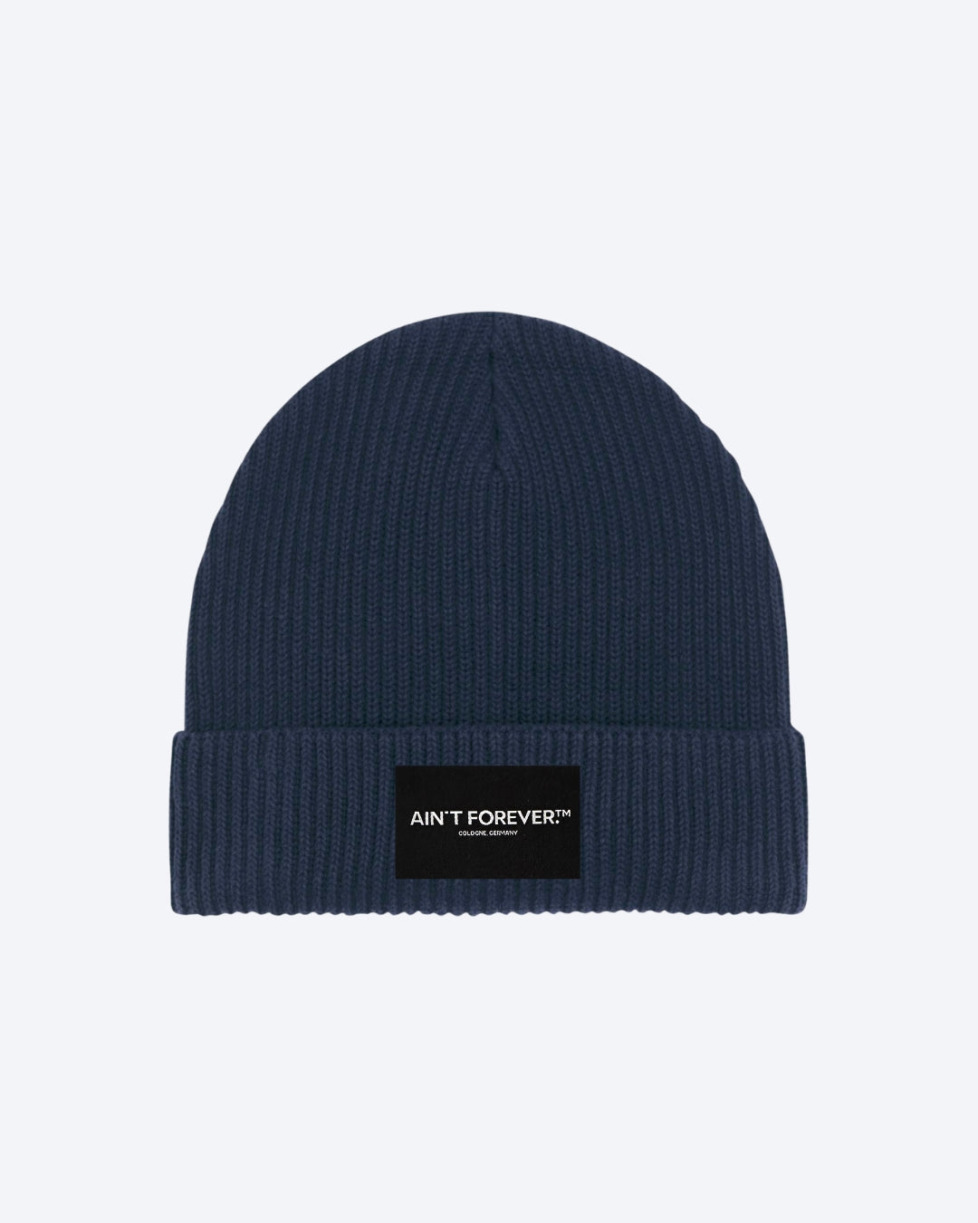 THE ESSENTIAL BEANIE