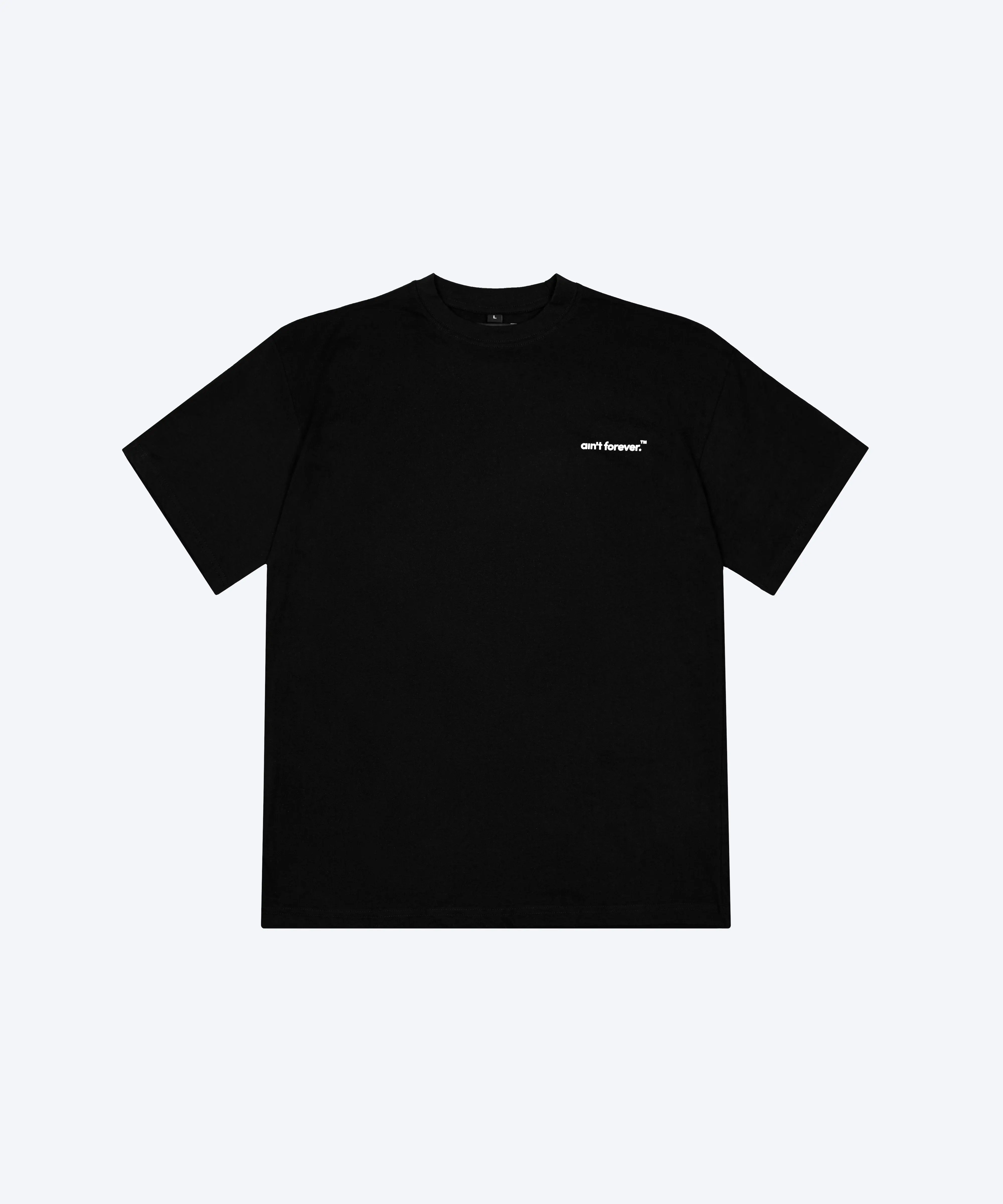 THE BOARDING PASS T-SHIRT (BLACK / DESERT DUST)