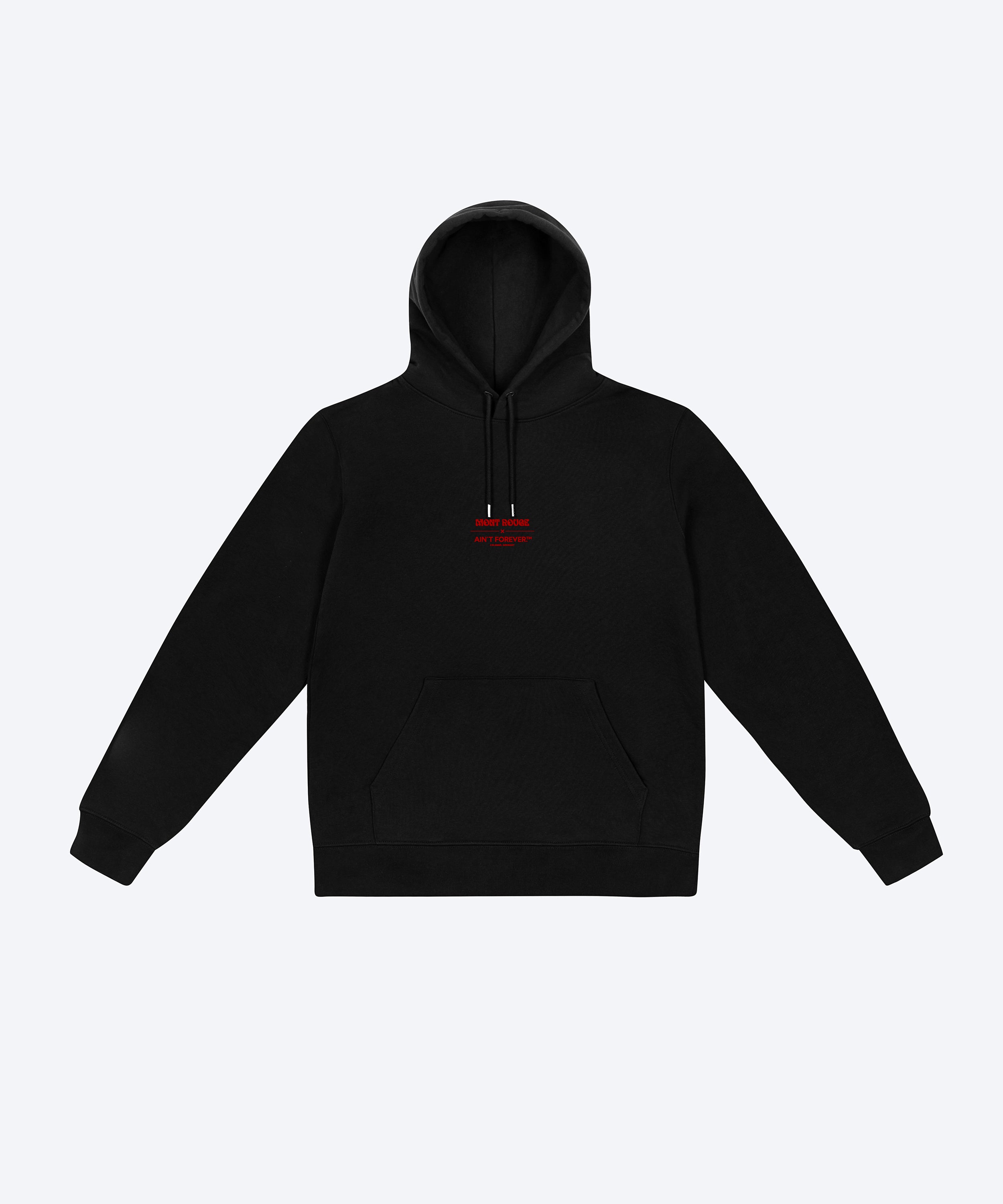 FW 23 TOUR HOODIE (BLACK / MONT ROUGE)