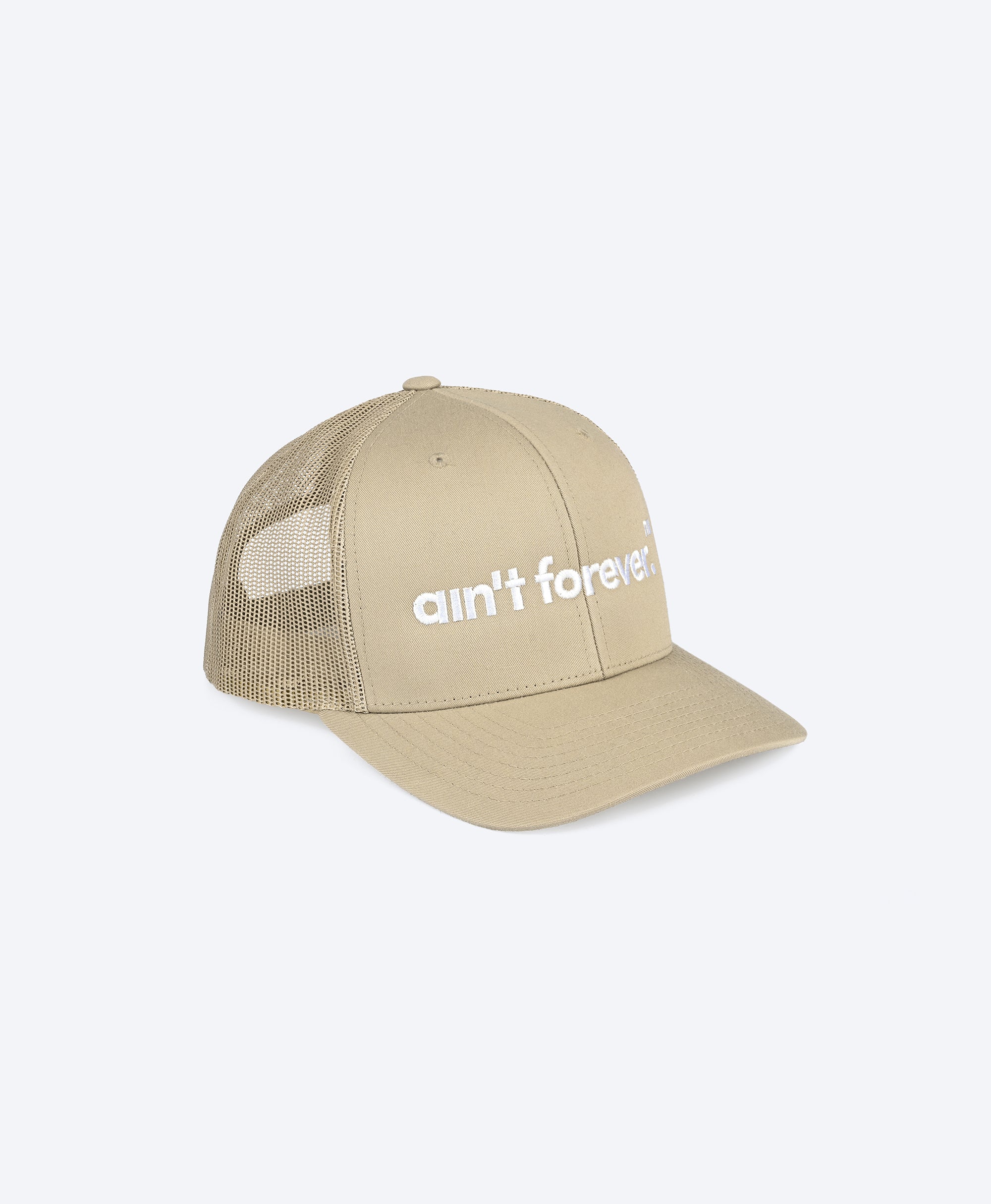 THE LOGO CAP (DESERT DUST / WHITE)