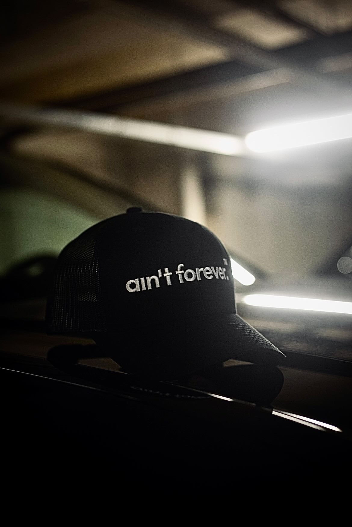 THE LOGO CAP (BLACK / WHITE)