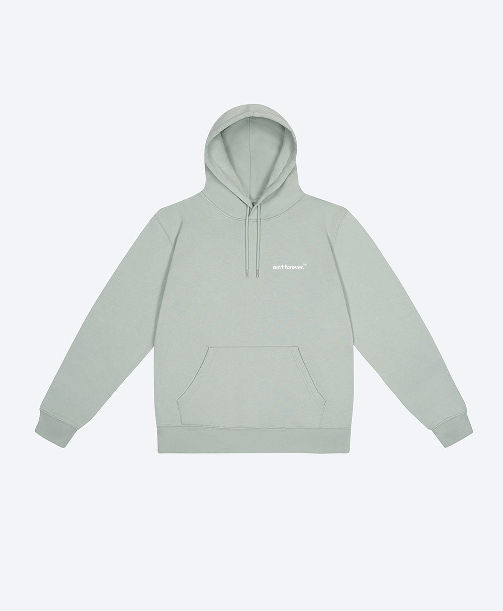 THE SKI PASS HOODIE (PASTEL / BEIGE)