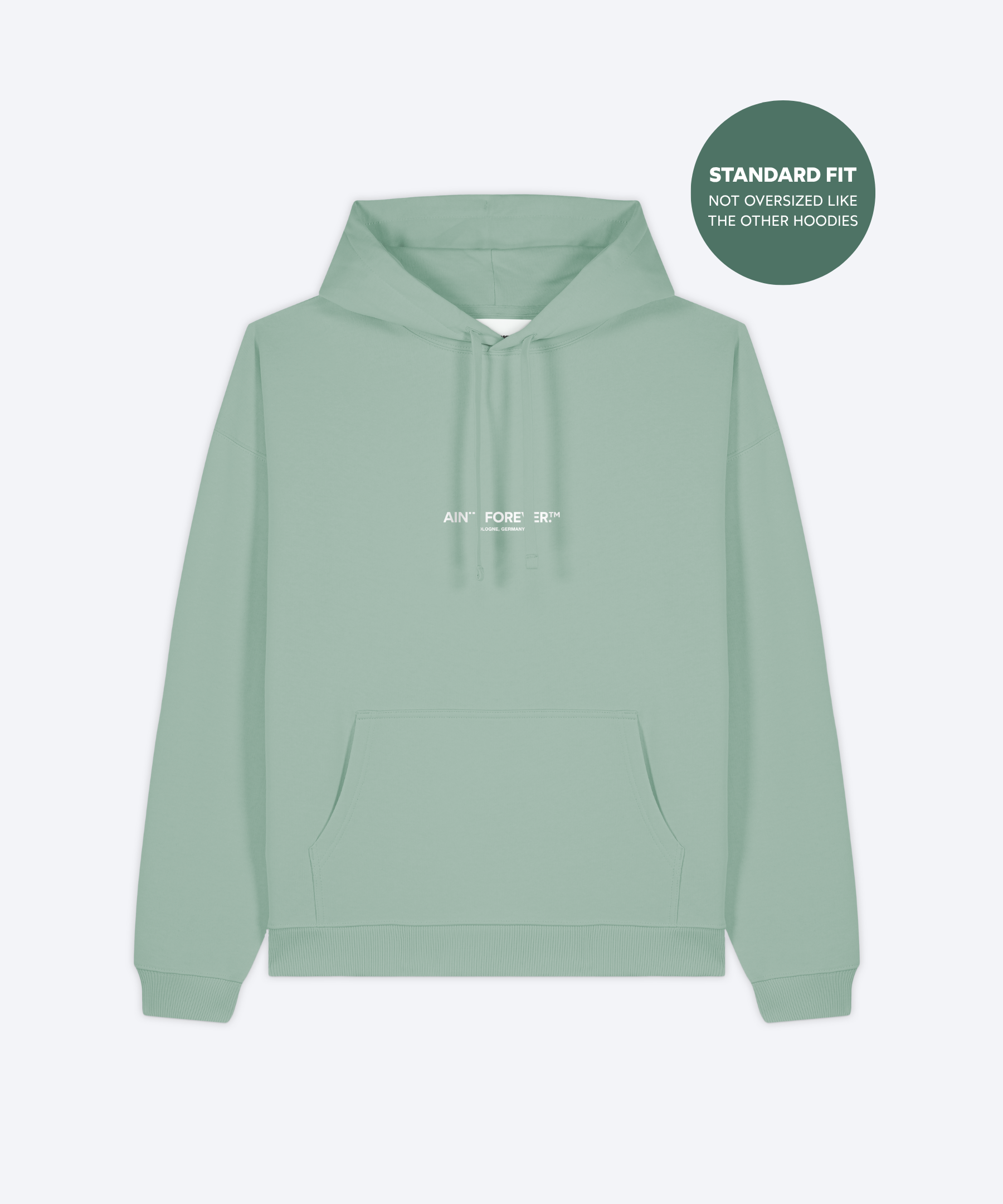 THE DEPARTURES HOODIE