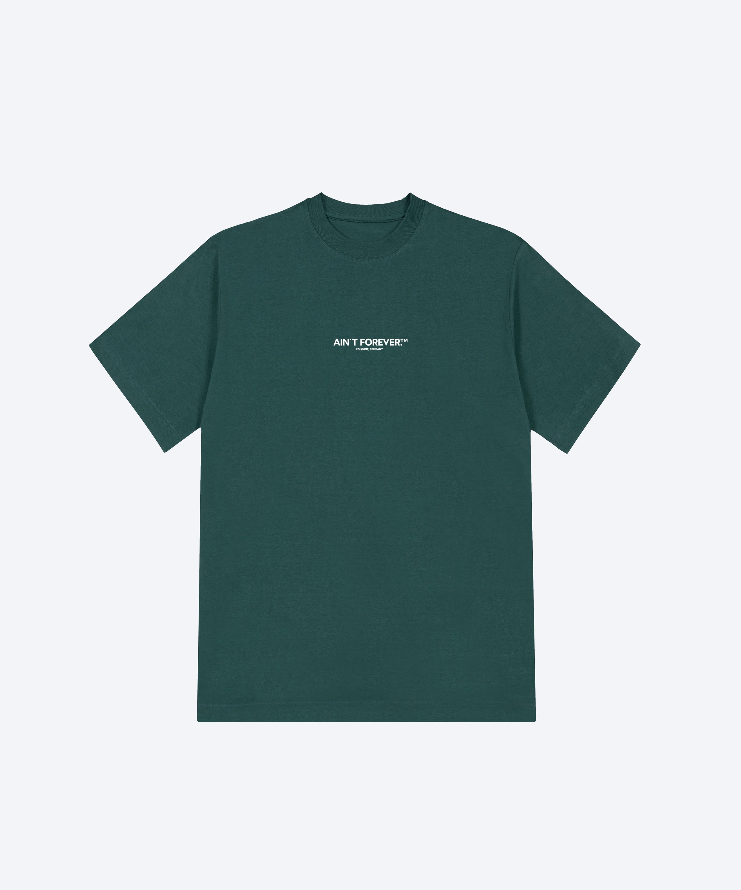 THE DEPARTURES T-SHIRT (GLAZED GREEN / WHITE)