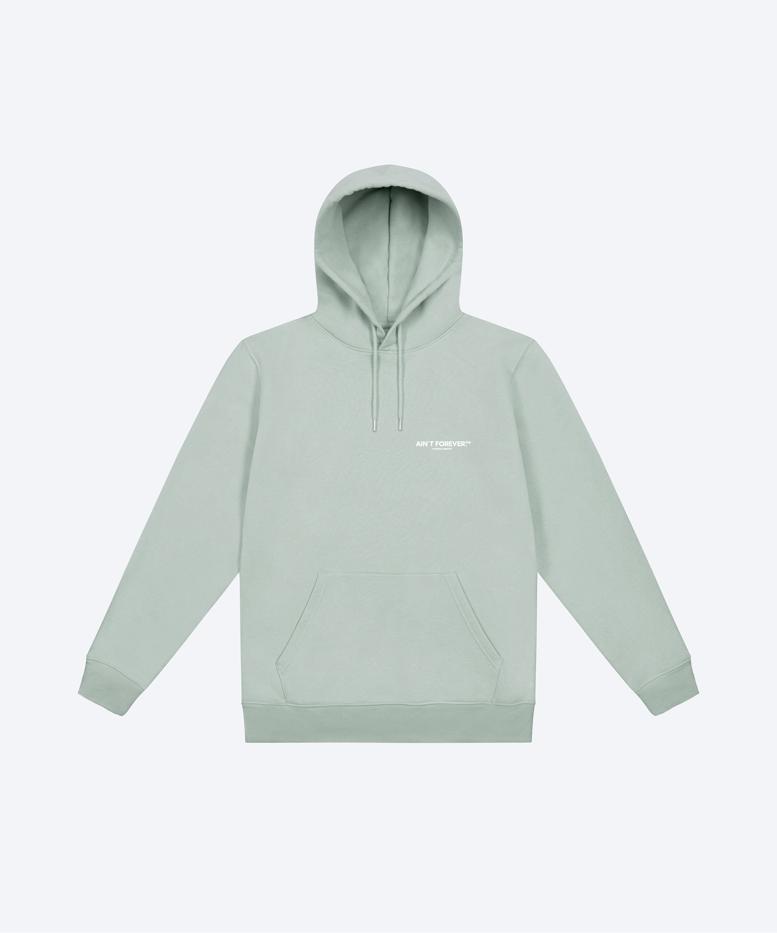 THE NIGHT OUT HOODIE (ALOE/WHITE)