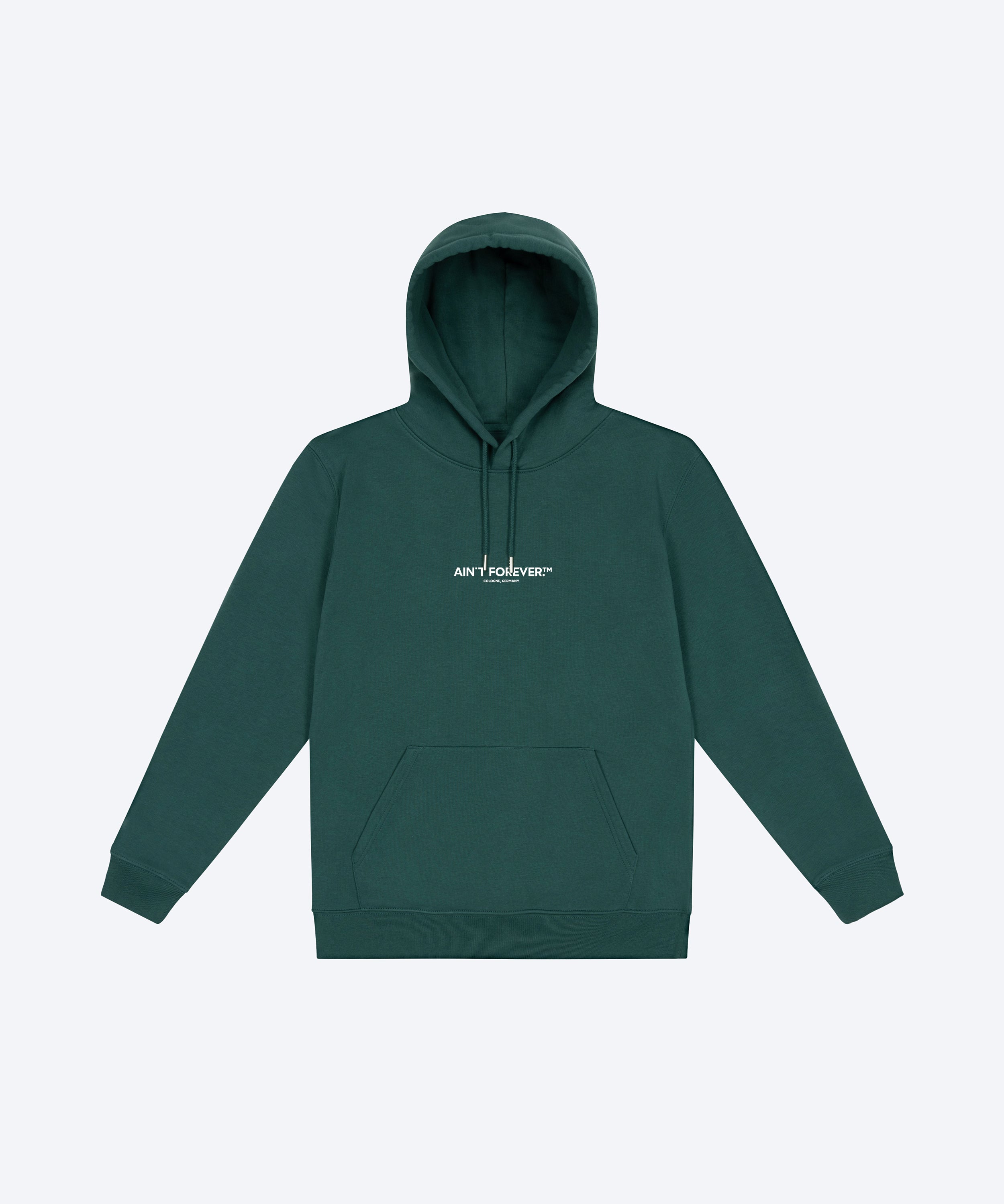 THE DEPARTURES HOODIE (GLAZED GREEN / WHITE)