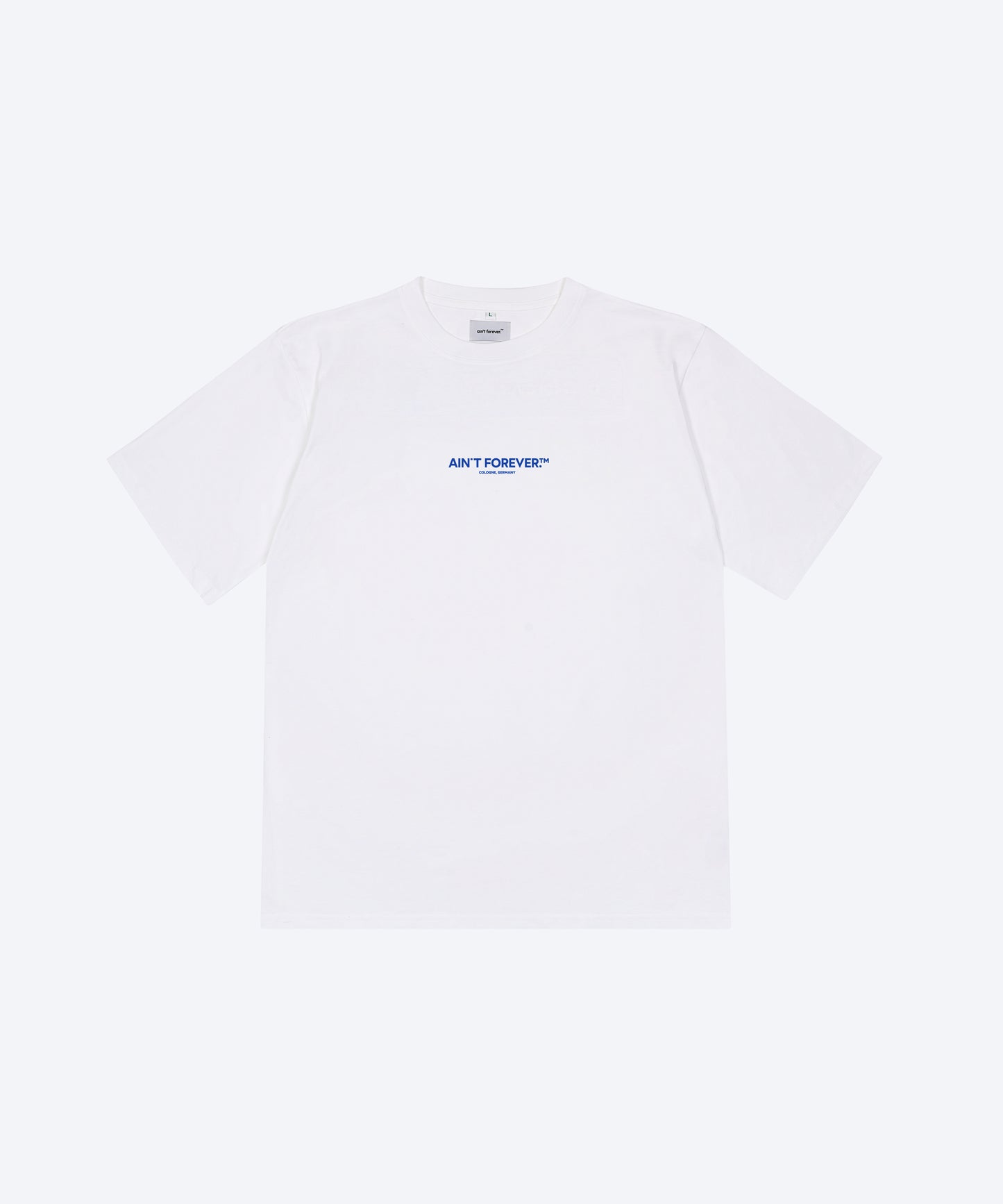 
                  
                    THE OVERSIZED DEPARTURES T-SHIRT (CONFIGURATOR) (WHITE / BLUE)
                  
                