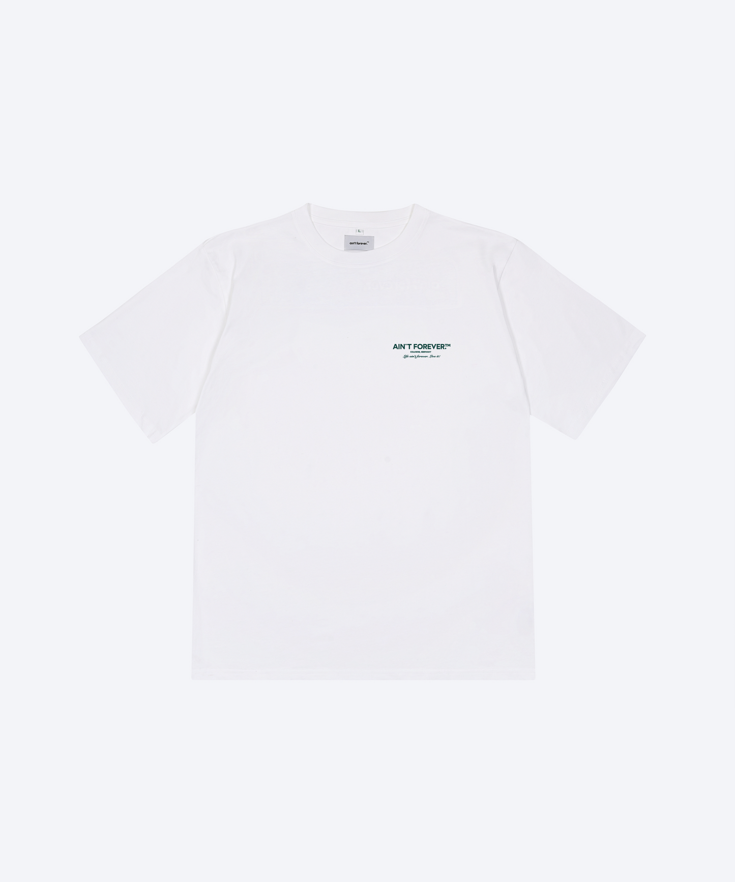 
                  
                    THE OVERSIZED LIVE IT! T-SHIRT (WHITE / GREEN)
                  
                