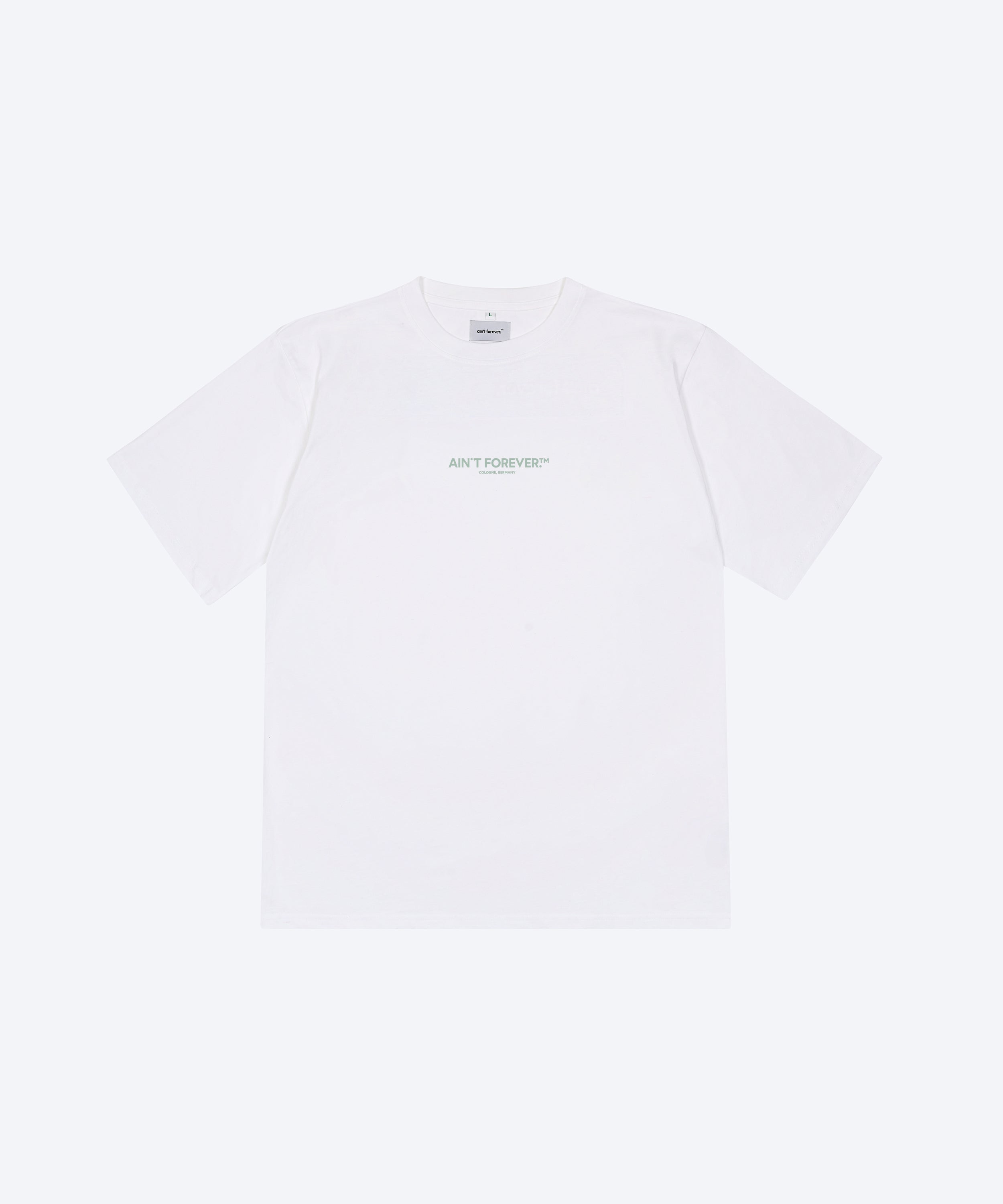 THE DEPARTURES T-SHIRT (WHITE / PASTEL GREEN)