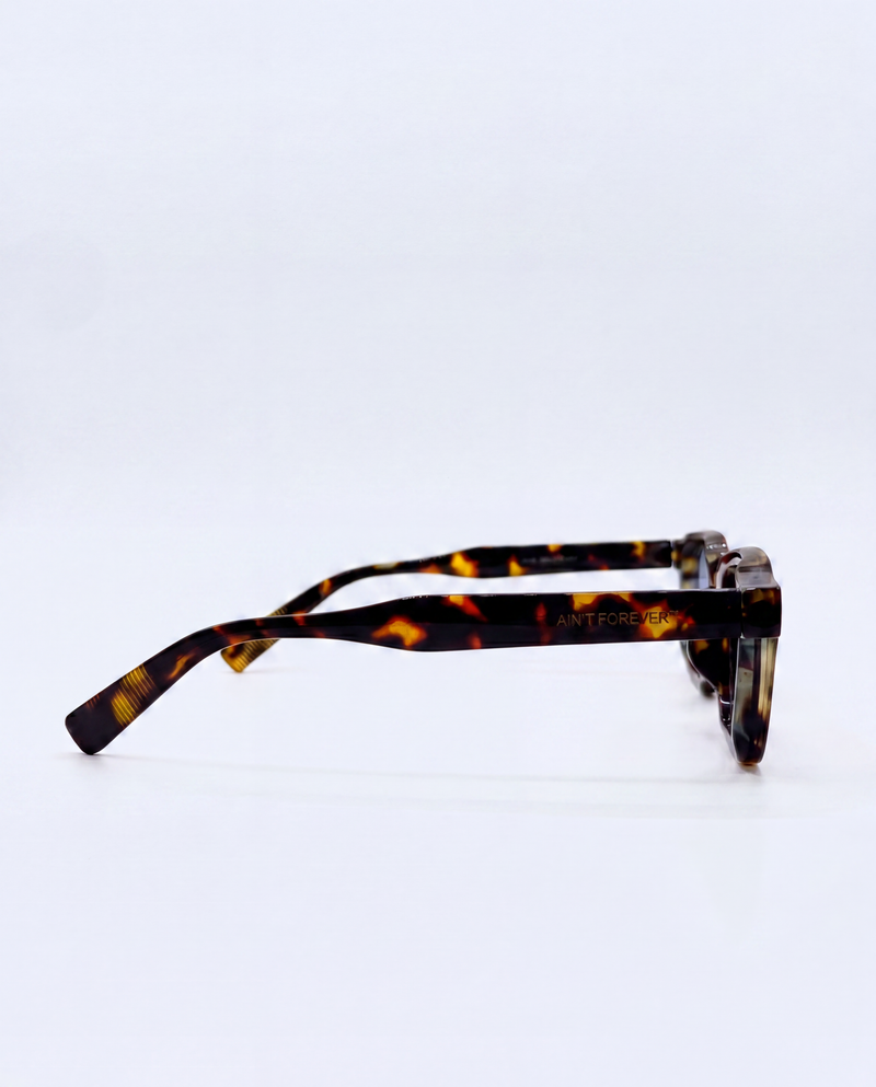 "HAVEN" - SUNGLASSES