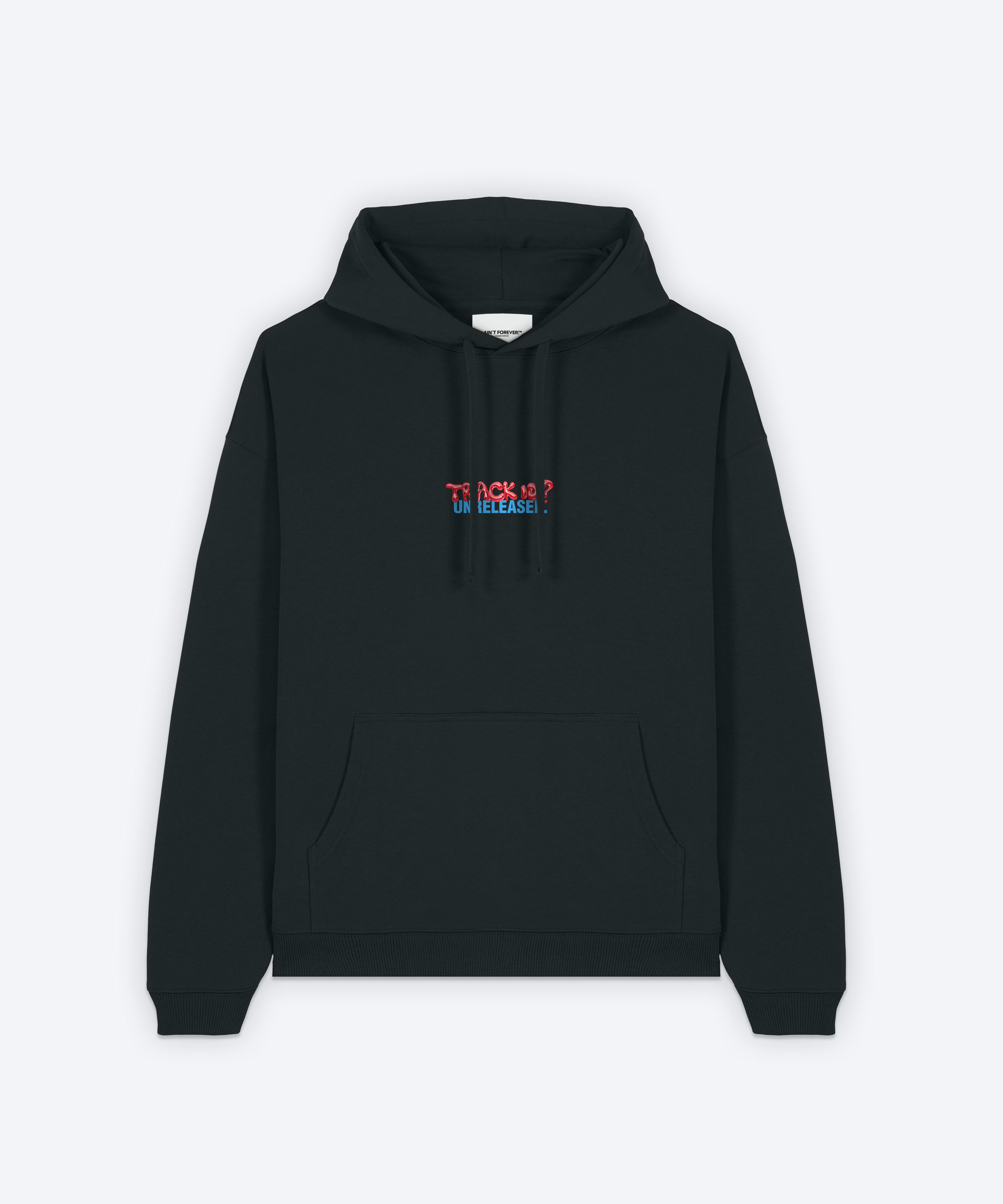 THE UNRELEASED HOODIE (1001TRACKLISTS)