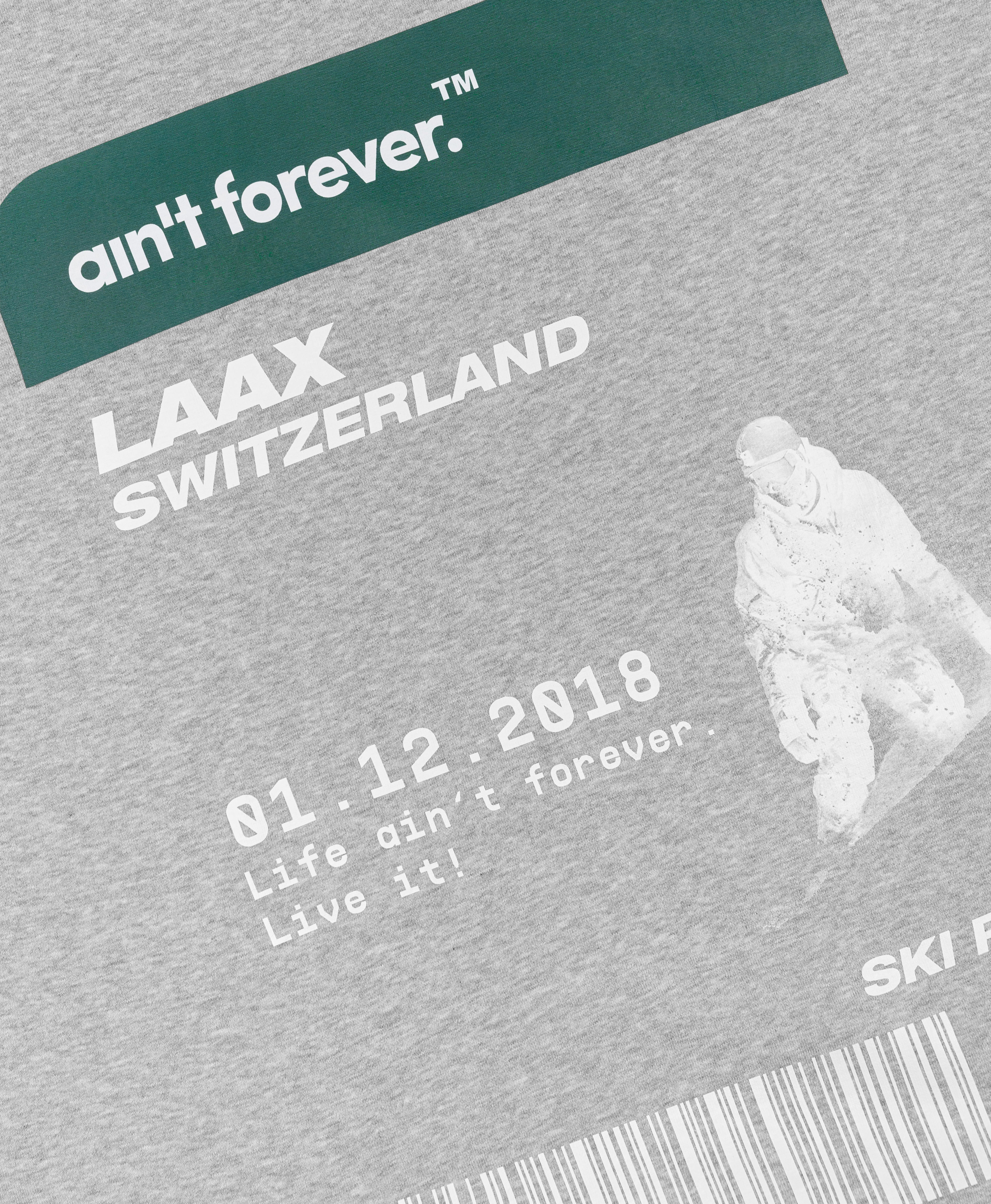 THE SKI PASS HOODIE ( GRAY / DARK GREEN )
