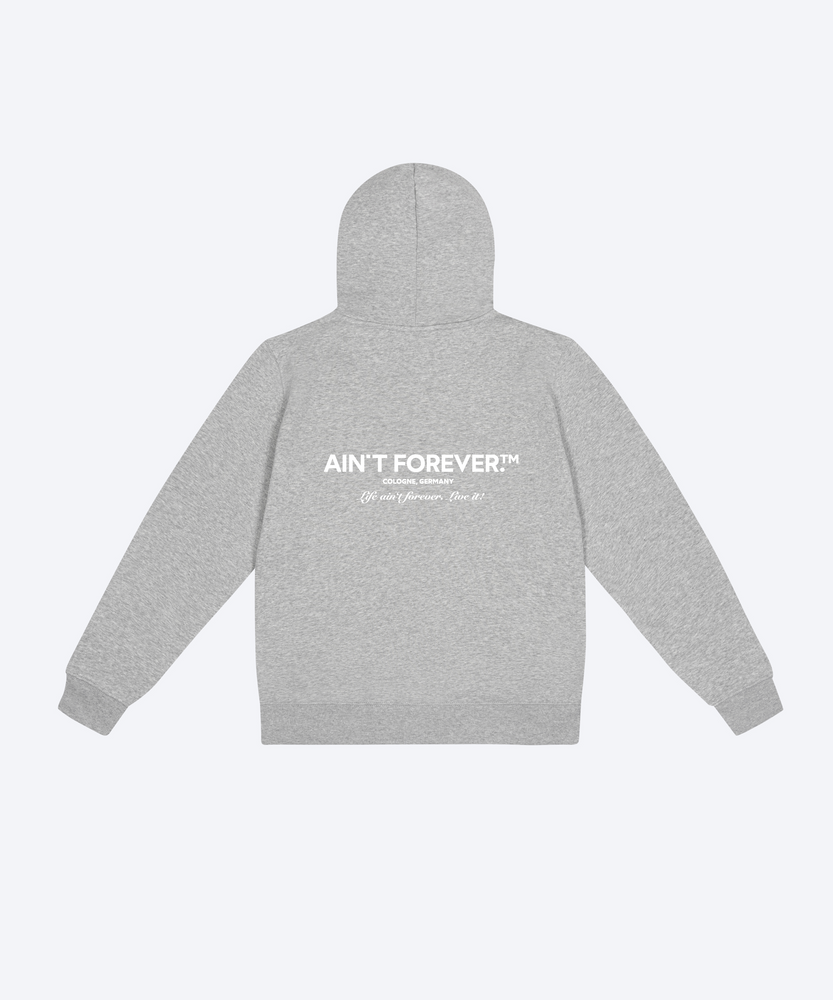 
                  
                    THE LIVE IT! HOODIE (HEATHER GRAY / WHITE)
                  
                
