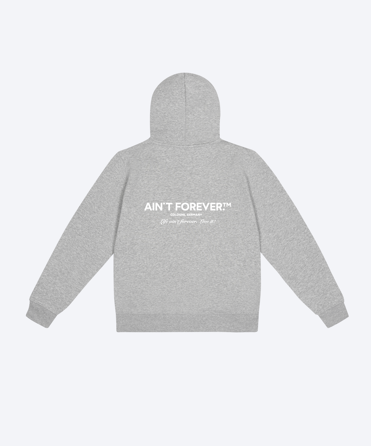 
                  
                    THE LIVE IT! HOODIE (HEATHER GRAY / WHITE)
                  
                